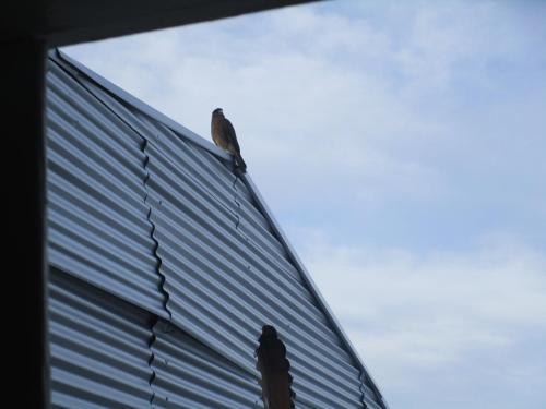 Albergue Palafitos Emilio Y Ester