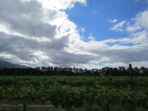 Seven Oaks Vineyard Cottages