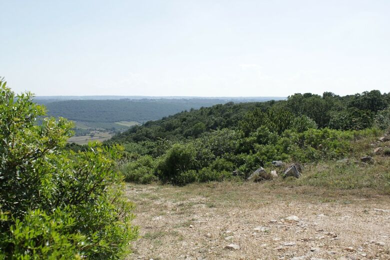 Bed & Breakfast La Suite Nel Bosco