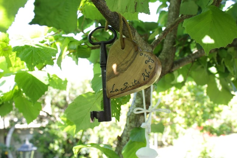 Bed & Breakfast La Suite Nel Bosco