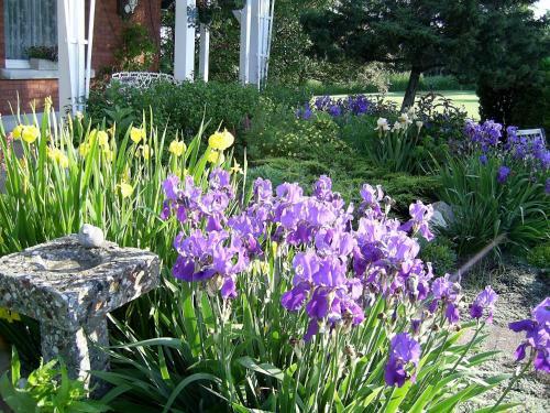 Bed & Breakfast Green Woods Inn