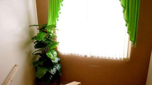 Hotel Rio Branco