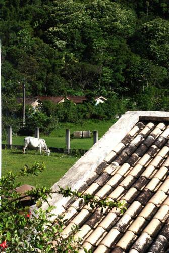 Hostal Olas Del Sur Suites