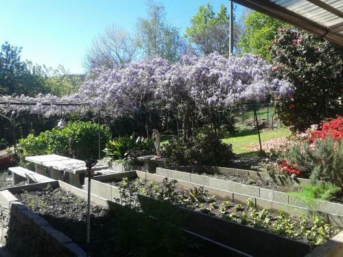 Bed & Breakfast Swanlake Rooms