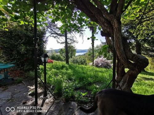 Bed & Breakfast Swanlake Rooms