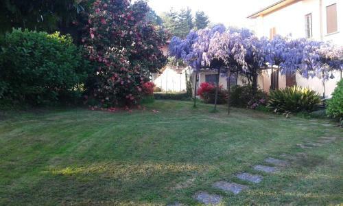 Bed & Breakfast Swanlake Rooms