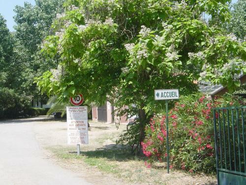 Camping Benista