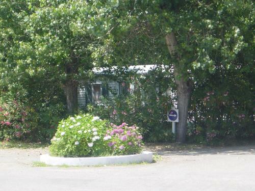 Camping Benista