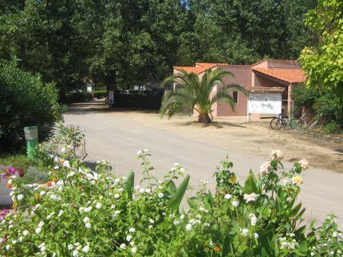 Camping Benista