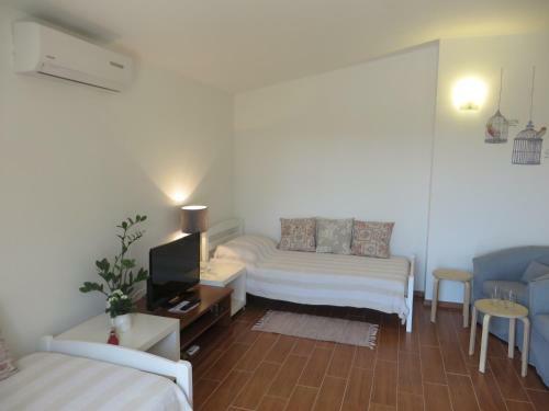 Filipovic Apartments With Pool