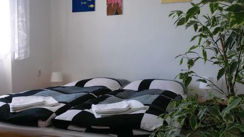 Apartm�n ??�r