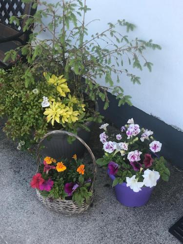 Kerstin's B&B