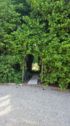 Bed & Breakfast Brookvale