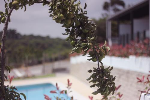 Apartamento Madera Y Mar