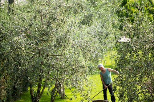 Agroturismo Agriturismo Vin E Amor