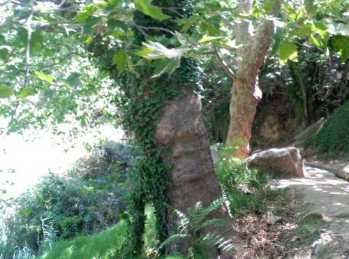 Agroturismo La Casita Del R�o