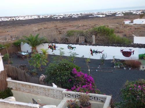 Casita De Gato