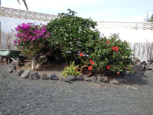 Casita De Gato