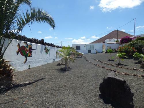 Casita De Gato