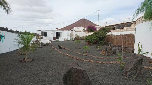 Casita De Gato
