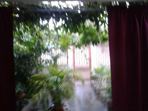 Paraiso Tropical