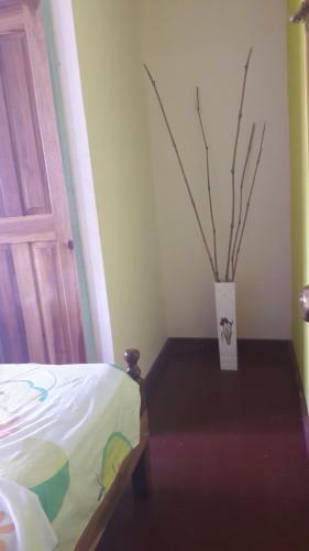 Bastimentos Caribean Hotel