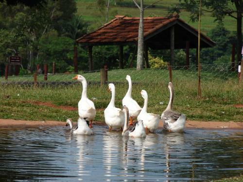 Agroturismo Hotel Fazenda Jaca�na