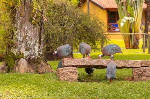 Agroturismo Hotel Fazenda Jaca�na