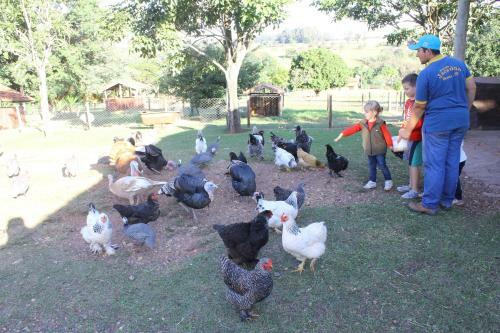 Agroturismo Hotel Fazenda Jaca�na