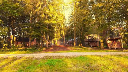 Lodge L'�tape En For�t