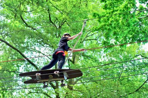 Lodge L'�tape En For�t