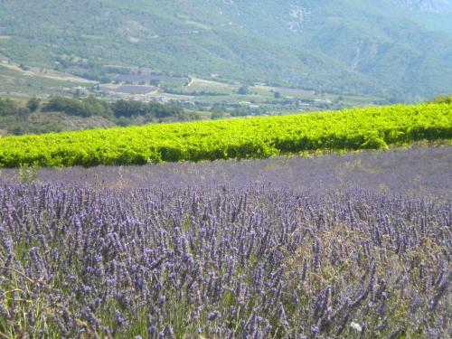 Hotel Le Moulin De C�sar