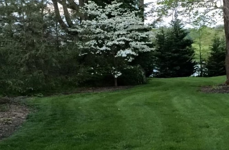 Bed & Breakfast Susquehanna Manor