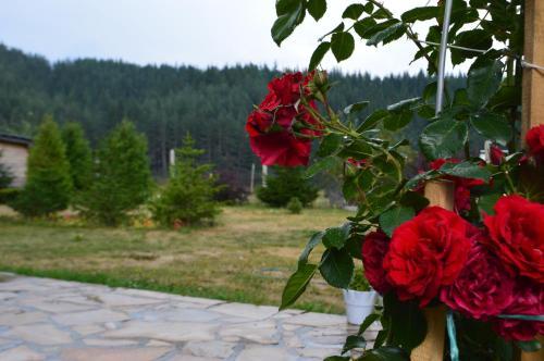 Hostal Guest House Meandrite