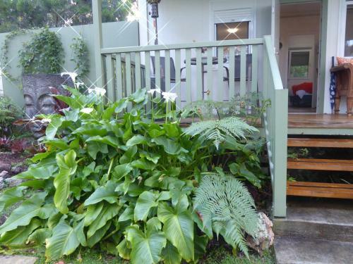 Agroturismo Buddha Cottage Springbrook