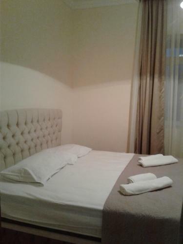 Hostal Gonio House