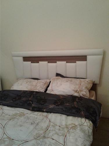 Hostal Gonio House