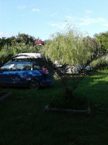 Hostal Gonio House