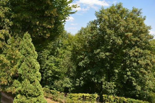 Hostal Hermitage St Roch