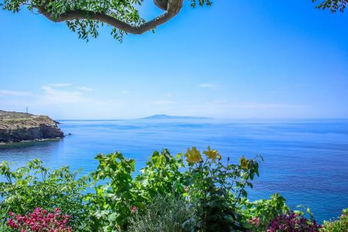 Apartamento Villa Pitsa