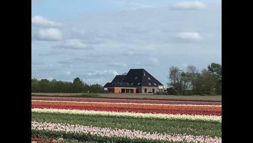 Bed & Breakfast Boerderij De Waard