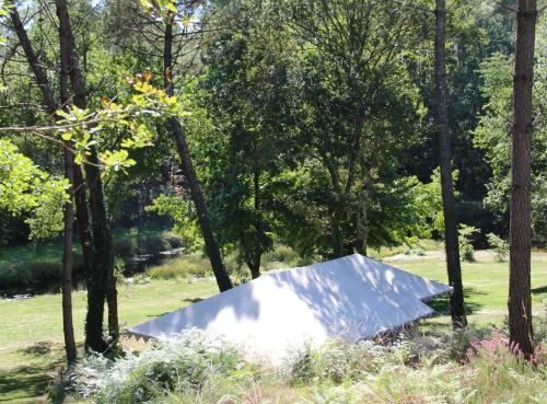 Bed & Breakfast Palika Lodge