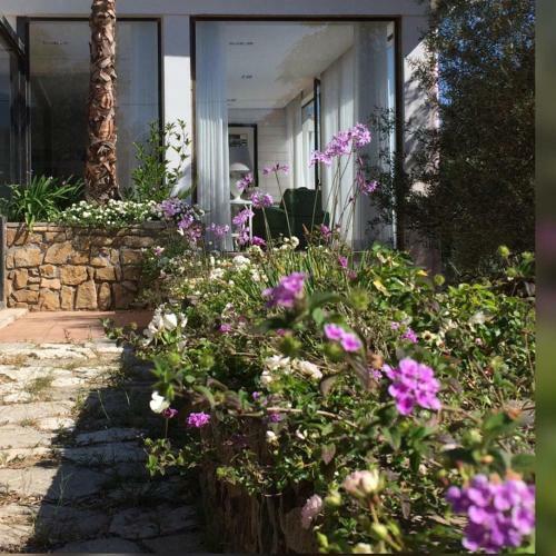 B&B La Collegiata