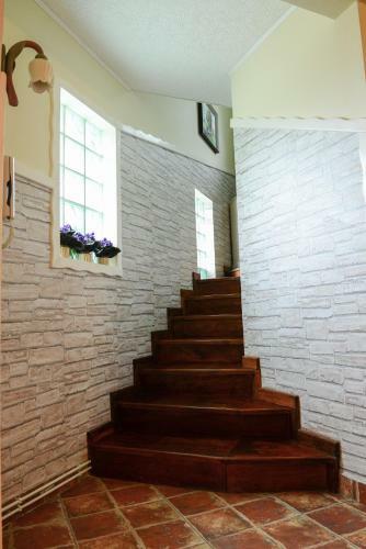 Hostal Vila Horia Bradet