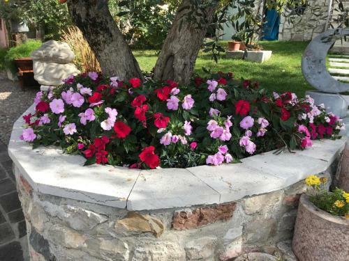Apartamento Appartamenti Ceccherini