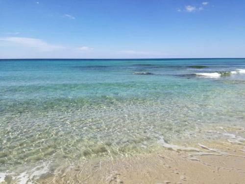 B&B Forim�a