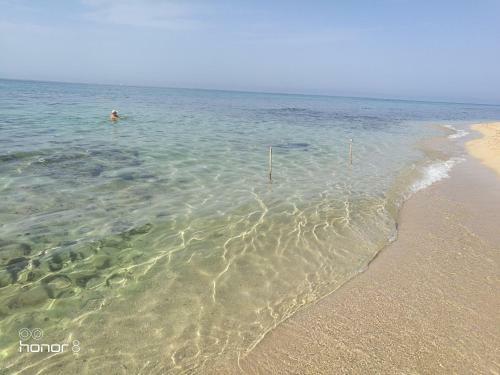 B&B Forim�a