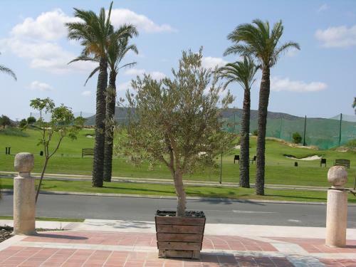 Apartamento Hacienda Golf Resort - 8408