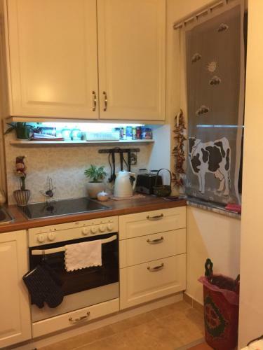 Apartment Nesti In Pristina Kosovo