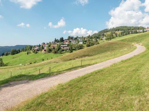 Apartamento Todtnauberg